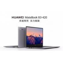 Matebook B3-420系列笔记本NDZ-WDH9A(Intel Iris Xe Intel i5 8GB+512GB)—标准版